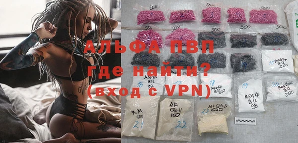 гидра Надым