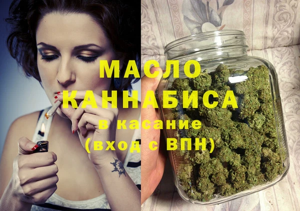 гидра Надым