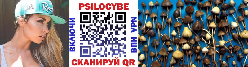 Галлюциногенные грибы Magic Shrooms  Богданович 