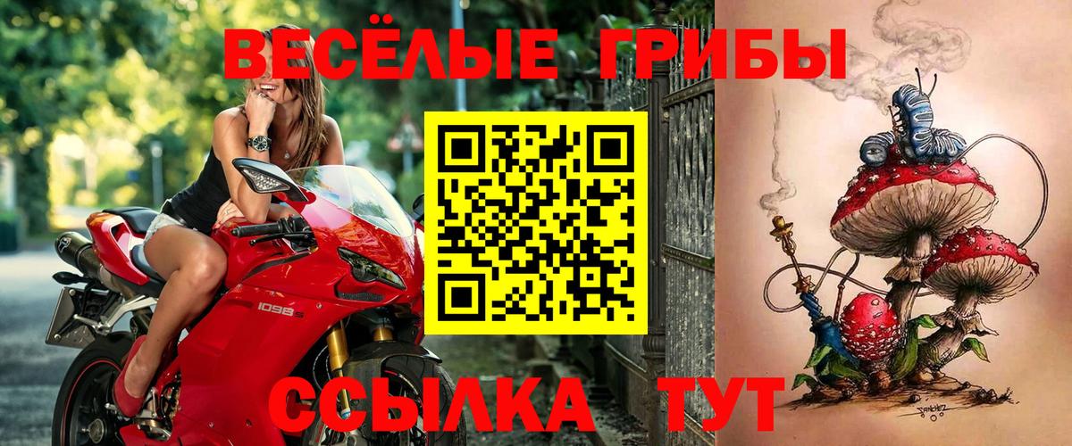 Галлюциногенные грибы прущие грибы  Вход с VPN  Богданович 
