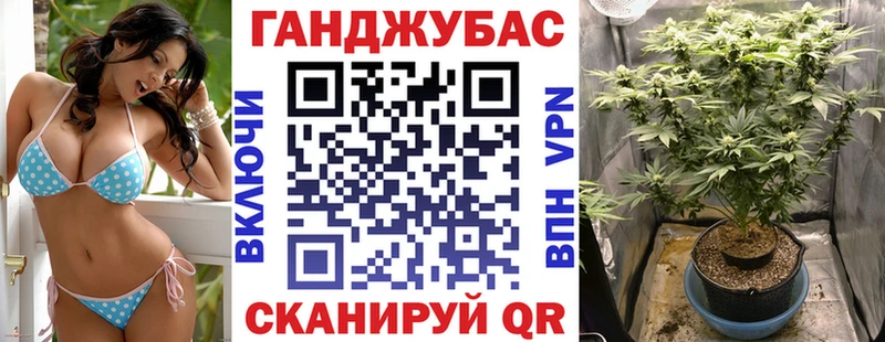 где продают   Богданович  Конопля Bruce Banner 